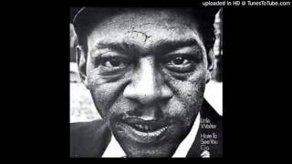 Little Walter - Eyesight To The Blind (Sonny Boy Williamson II Cover)