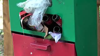 ecco-che-cosa-accade-nell-area-sgambamento-cani-ad-ariano-irpino