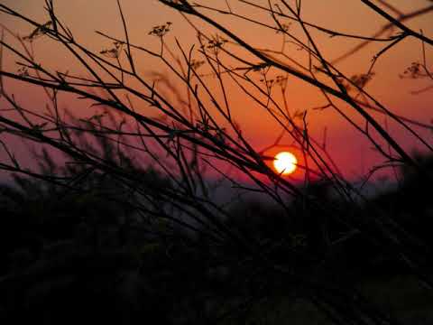 M-Eject - Hello Strange Podcast 🇺🇦 [Atmo/Dub Techno]