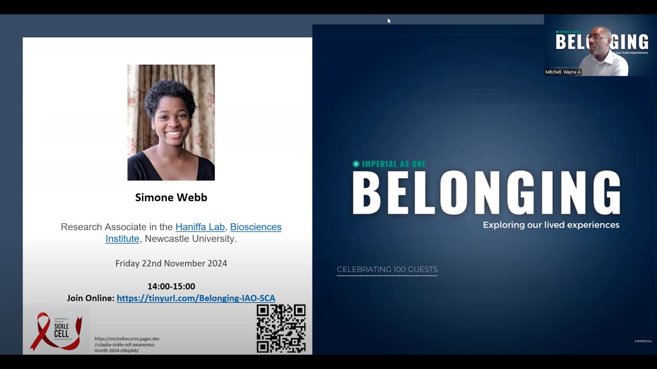 Shining, Falling and Rising Star - Simone Webb