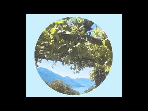 Nicola Noir - Birra Monti