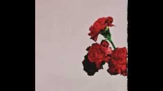 Asylum - John Legend (Lyrics)