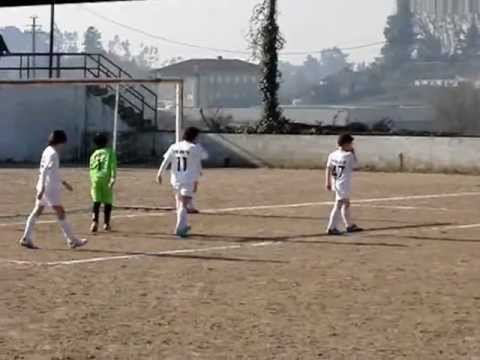 Carvalhosa vs Raimonda