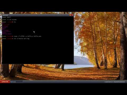 Assembling and Linking a Lemon OS program