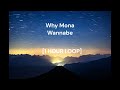 Why Mona - Wannabe [1 HOUR LOOP]