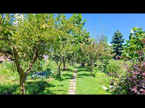 Living Museum of Lost Fruits - Beautiful Huge Community Garden in Omegna / Italy