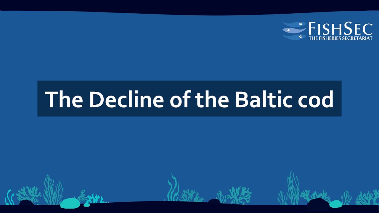 The situation for cod in the Baltic Sea
