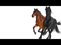 Old Town Road by Lil Nas X (FT BILLY RAY CIRUS) Old Town Road by Lil Nas X (FT BILLY RAY CIRUS)