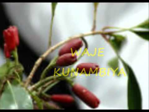 UKICHUNGUWA USICHUNGUWE UTAYAJUWA - TARAAB