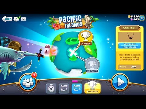New Pet Connie Live Contest (Most Bats Eaten Goblin Shark) - Hungry Shark World