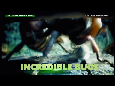 Amazing Earth: Incredible Bugs