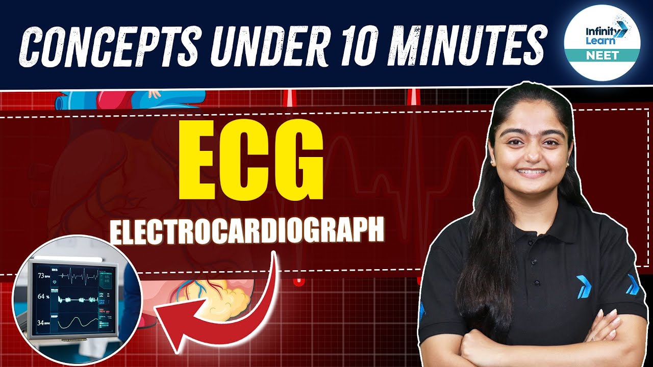 Electrocardiograph (ECG) Explained: Body Fluids and Circulation | NEET 2025 | Class 11 Biology