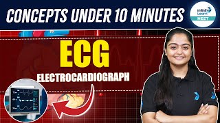 Electrocardiograph (ECG) Explained: Body Fluids and Circulation | NEET 2025 | Class 11 Biology