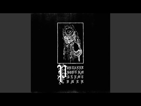 Stiærnbonad swartakonsth