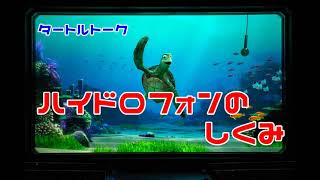 【ディズニーものまね】タートルトークでのハイドロフォンの仕組みについて【ほっしー】