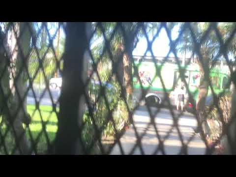 How do we buy Popsicles