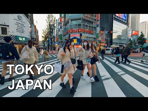 4K TOKYO JAPAN - Shinjuku Shopping Street Walking Tour | 東京の散歩2021