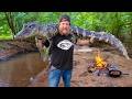 Alligator Catch Cook In The Florida Swamps