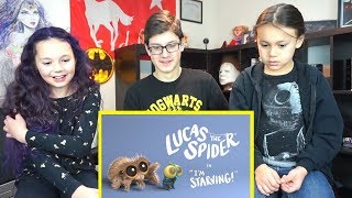 Lucas The Spider - I'm Starving REACTION