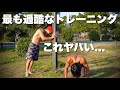 これヤバい...過去一キツい筋トレで見事に死亡しました。