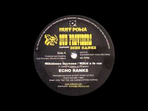 12'' Echo  Ranks - Wikidness Increase_Wikid a fe run