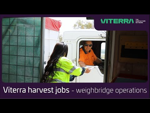 Viterra Australia harvest jobs - what is weighbridge operations?