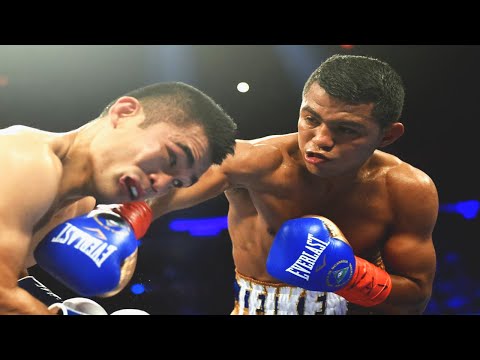 Roman Gonzalez vs Brian Viloria - Highlights (Explosive FIGHT & KNOCKOUT)