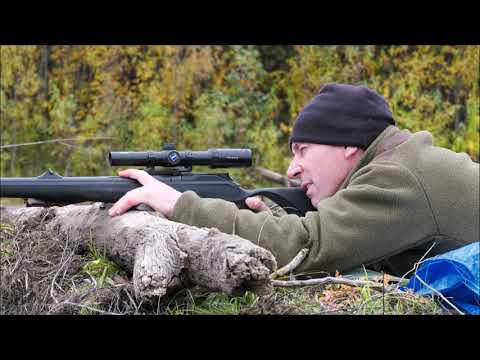 Ein Kamtschatka Abenteuer. Jagen auf Elch und Bär.