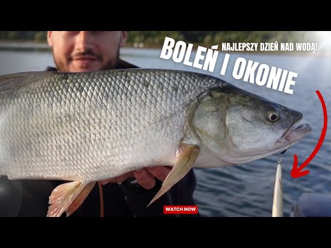 The BIGGEST ASP this season!