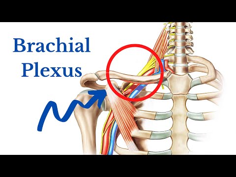 How To Relieve Brachial Plexus Irritation: Simple At Home Stretches