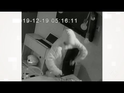 Autoescola em Nova Friburgo é roubada na manhã de quinta-feira; assista