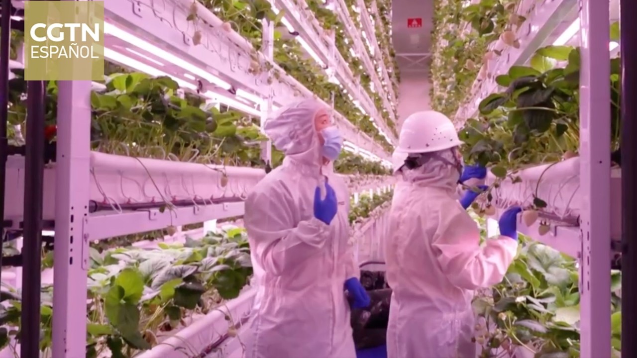 China mantiene los logros obtenidos tras vencer la pobreza extrema mediante estrategias