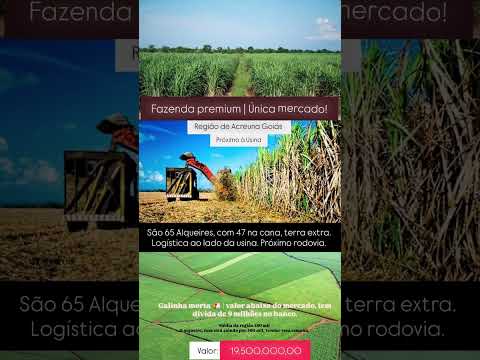 65 Alqueires em Acreúna Goiás / whatsapp 62 99373-6407