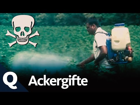 The history of pesticides and their dangers | Quarks