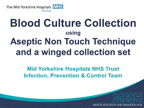 Blood culture collection using ANTT