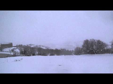 Nevada en Aras, 01-02-2015