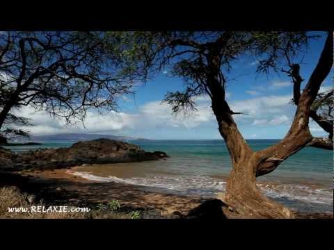 60minutes2relax - Twisted Tree Beach