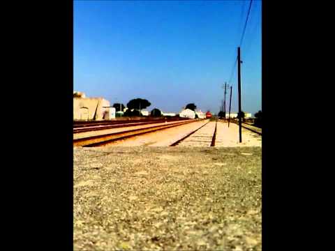 1904 | 50366 | Caldas da Rainha