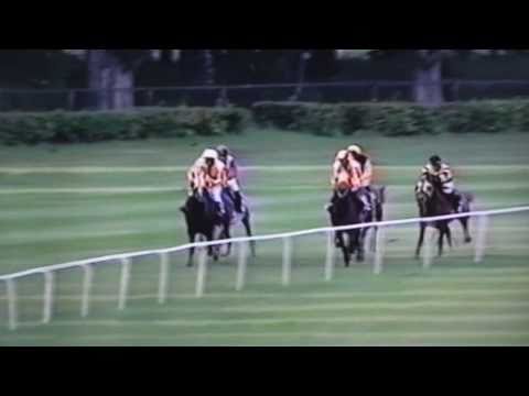 Nagroda Próbna - 9.06.2004 - Don Carlos (Ganges - Decyzja)