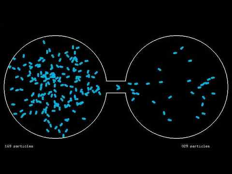 Irreversibility - Ehrenfest's model