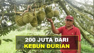Download lagu Pernah Dicibir Karena Tanam Durian, Kini Punya Kebun Durian Dengan Omset Ratusan Juta | Ep 57 mp3