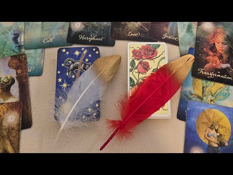 💫🦋What he THINKS and FEELS about you TODAY💘Advice for you🦋💫Interactive Tarot