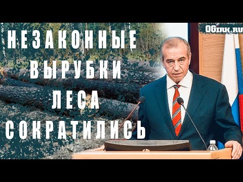 Количество незаконных рубок леса сократилось - Сергей Левченко