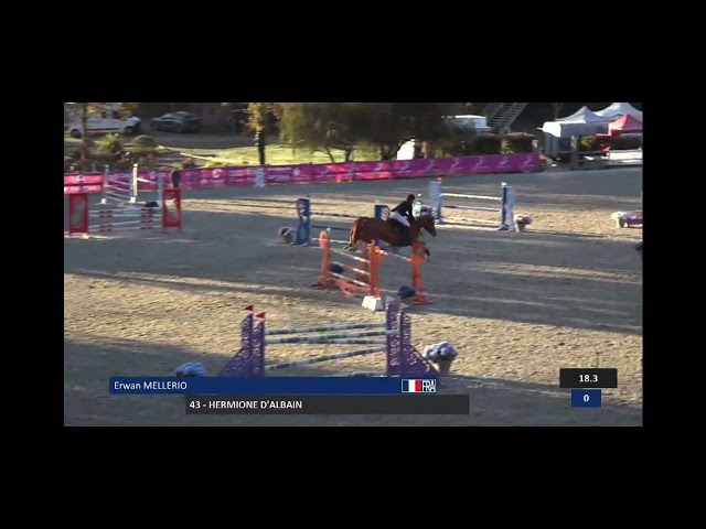 &Agrave; VENDRE HERMIONE D'ALBAIN, JUMENT SF 9ANS CSO AM ELITE