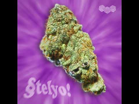 BELMONDAWG - Stelyo!