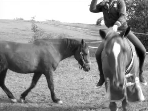 The best proof of love is trust