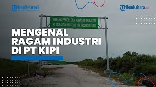 Mengenal Ragam Industri di PT KIPI, Ada Smelter Alumunium hingga Petrokimia