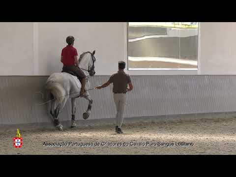 11 Gonçalo Sampaio com Leste D´Atela