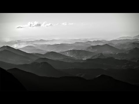 【Gradient】by Philip Daniel Zach | Artlist