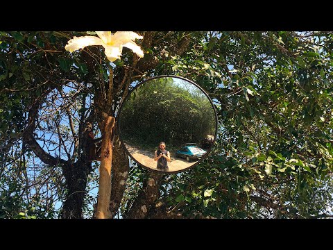 Spider ZED -  Joue le jeu (Lyrics video)